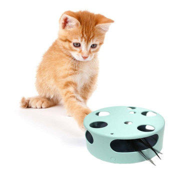 Toy jouet de chat interactif des animaux de compagnie